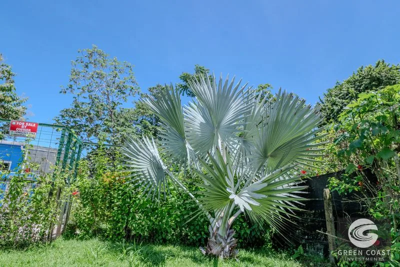 Uvita Beach Home: Walk to Marino Ballena National Park, Pool & Income Potential — view 31, Bahía Ballena, Osa, Costa Rica