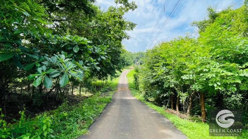 Spacious Lot in Quinta Los Álamos, Orotina: Build Your Dream Costa Rica Retreat! — view 3, Ceiba, Orotina, Costa Rica