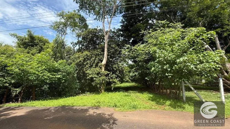 Spacious Lot in Quinta Los Álamos, Orotina: Build Your Dream Costa Rica Retreat! — view 4, Ceiba, Orotina, Costa Rica