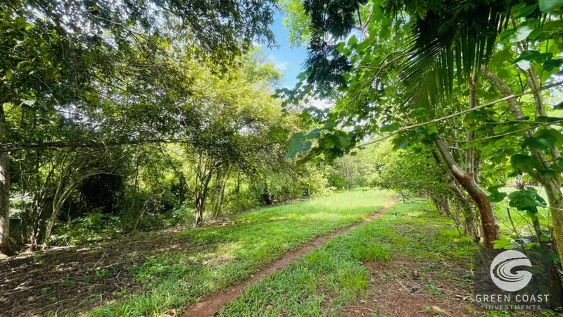 Spacious Lot in Quinta Los Álamos, Orotina: Build Your Dream Costa Rica Retreat! — view 5, Ceiba, Orotina, Costa Rica