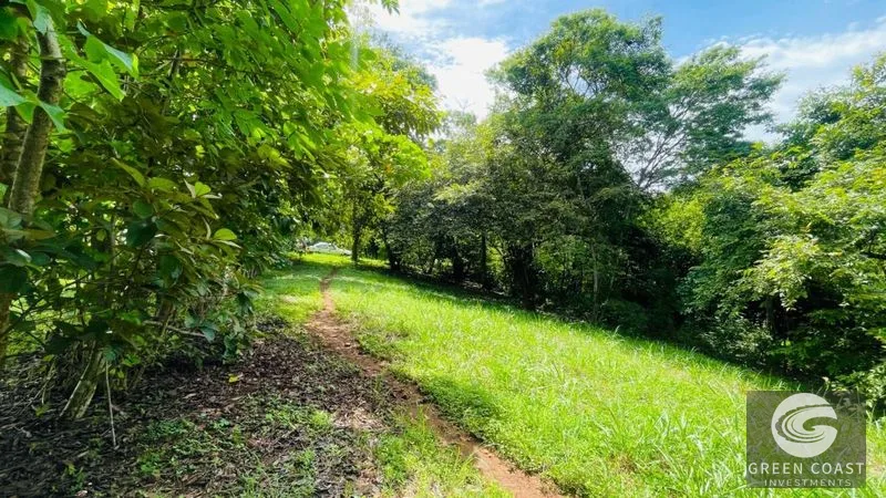 Spacious Lot in Quinta Los Álamos, Orotina: Build Your Dream Costa Rica Retreat! — view 6, Ceiba, Orotina, Costa Rica
