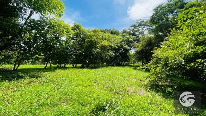 Spacious Lot in Quinta Los Álamos, Orotina: Build Your Dream Costa Rica Retreat! — view 7, Ceiba, Orotina, Costa Rica