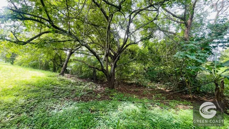 Spacious Lot in Quinta Los Álamos, Orotina: Build Your Dream Costa Rica Retreat! — view 8, Ceiba, Orotina, Costa Rica