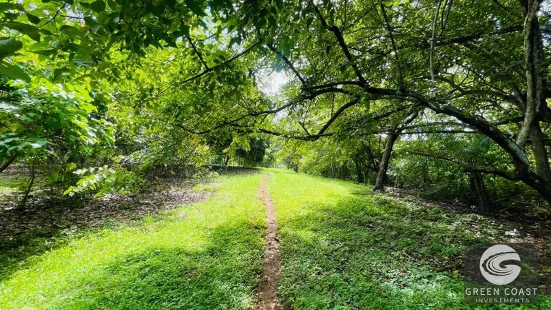 Spacious Lot in Quinta Los Álamos, Orotina: Build Your Dream Costa Rica Retreat! — view 9, Ceiba, Orotina, Costa Rica
