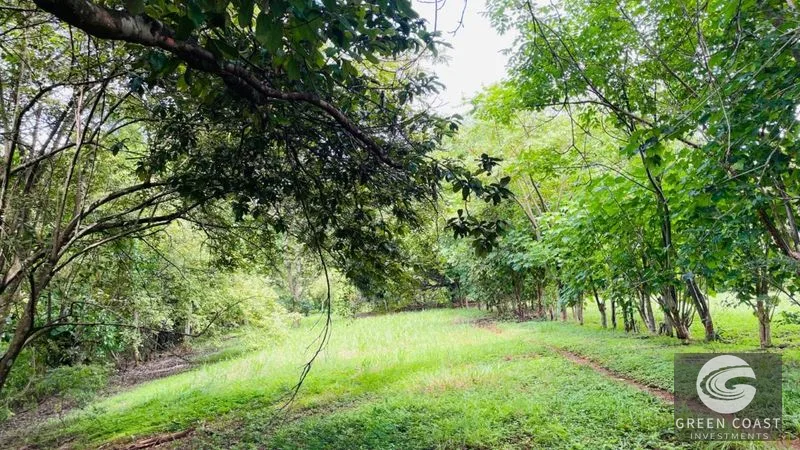 Spacious Lot in Quinta Los Álamos, Orotina: Build Your Dream Costa Rica Retreat! — view 10, Ceiba, Orotina, Costa Rica