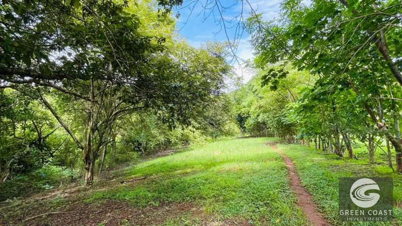 Spacious Lot in Quinta Los Álamos, Orotina: Build Your Dream Costa Rica Retreat! — view 11, Ceiba, Orotina, Costa Rica