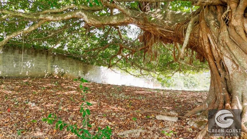 Atenas Nature Retreat: 2.46-Acre Lot with River, Volcano Views & Wildlife, 4 Mins to Town — view 6, Atenas, Costa Rica