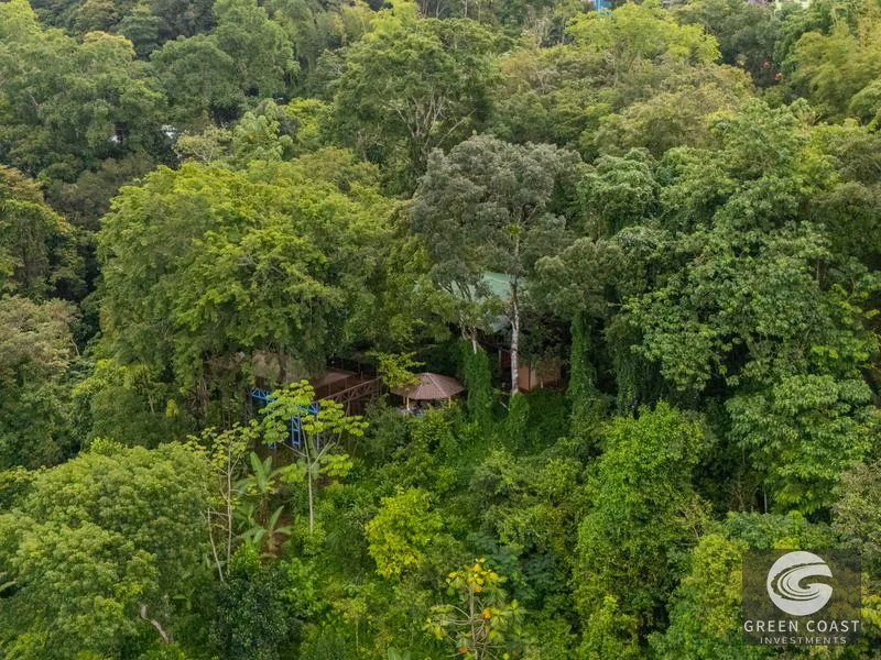 Nauyaca Waterfalls Gateway Estate: Luxury Jungle Home with Sky Platform & Income Potential — view 56, Dominical, Costa Rica