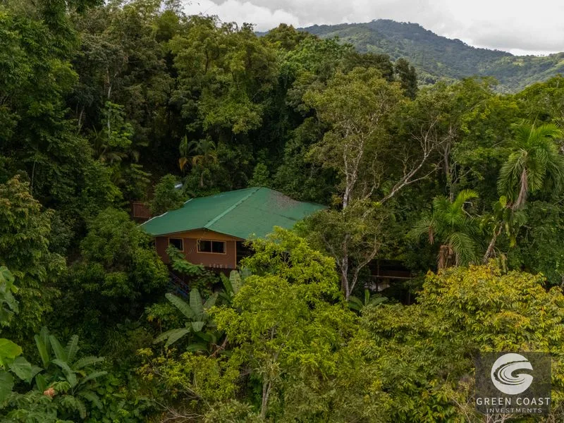 Nauyaca Waterfalls Gateway Estate: Luxury Jungle Home with Sky Platform & Income Potential — view 59, Dominical, Costa Rica