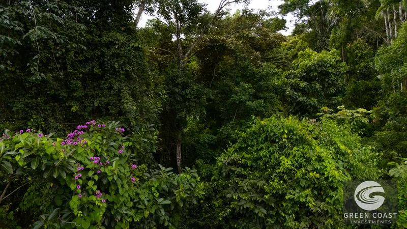 Nauyaca Waterfalls Gateway Estate: Luxury Jungle Home with Sky Platform & Income Potential — view 61, Dominical, Costa Rica