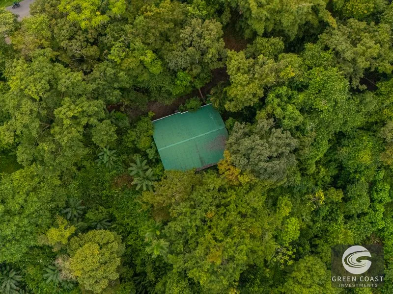 Nauyaca Waterfalls Gateway Estate: Luxury Jungle Home with Sky Platform & Income Potential — view 65, Dominical, Costa Rica
