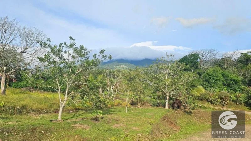 Prime Highway Frontage: 3.2 Hectares for Commercial/Residential Development in Ciudad Quesada — view 15, Ciudad Quesada, San Carlos, Costa Rica