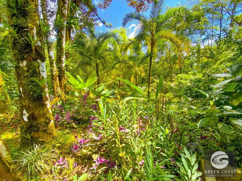 3 Bedroom Rainforest Home in Ojochal With River & Waterfall | 3.5 Acres Private — view 43, Ojochal, Ojochal, Costa Rica