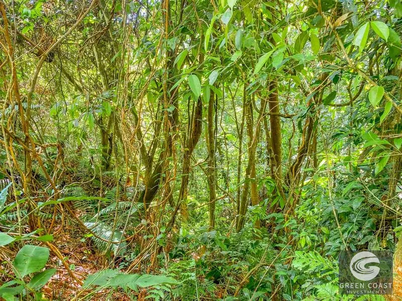 3 Bedroom Rainforest Home in Ojochal With River & Waterfall | 3.5 Acres Private — view 45, Ojochal, Ojochal, Costa Rica