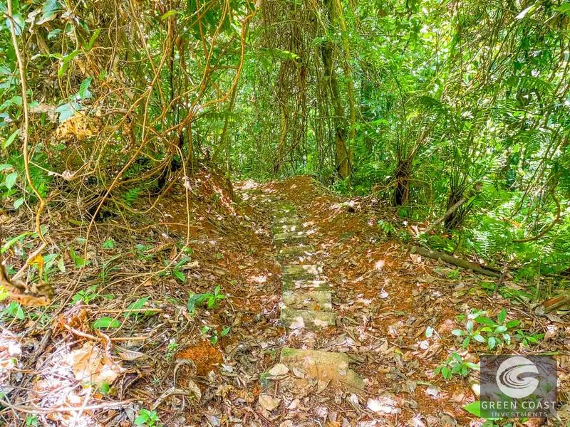 3 Bedroom Rainforest Home in Ojochal With River & Waterfall | 3.5 Acres Private — view 58, Ojochal, Ojochal, Costa Rica