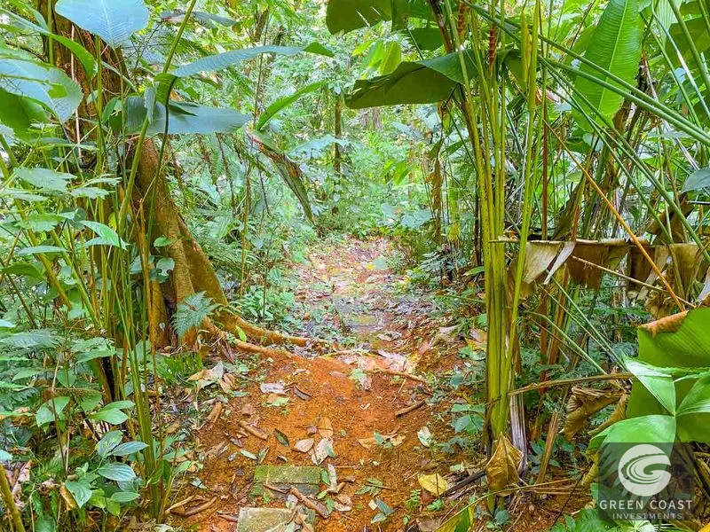 3 Bedroom Rainforest Home in Ojochal With River & Waterfall | 3.5 Acres Private — view 60, Ojochal, Ojochal, Costa Rica
