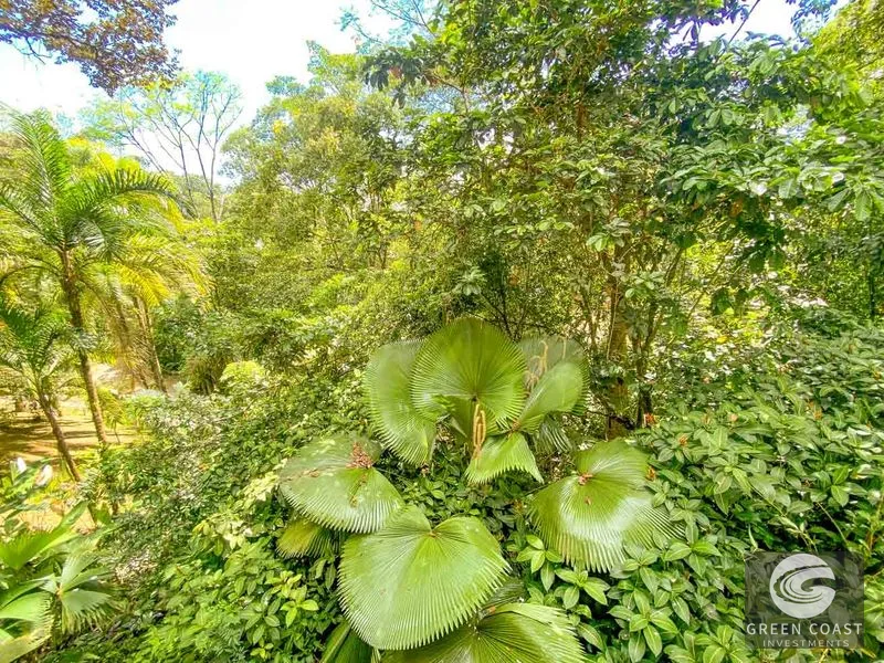 3 Bedroom Rainforest Home in Ojochal With River & Waterfall | 3.5 Acres Private — view 62, Ojochal, Ojochal, Costa Rica