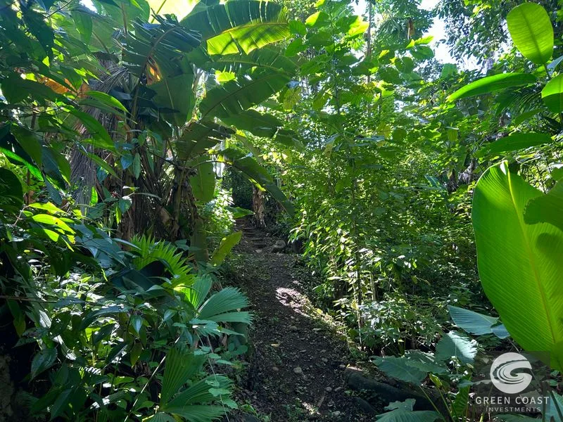 Ojochal Oasis: Riverfront Home with Pool, Mountain Views & Expansion Potential Near Surf Beaches — view 9, Ojochal, Osa, Costa Rica