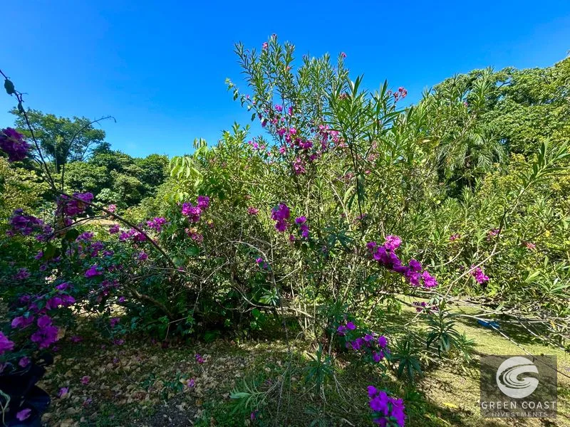 Ojochal Oasis: Riverfront Home with Pool, Mountain Views & Expansion Potential Near Surf Beaches — view 29, Ojochal, Osa, Costa Rica