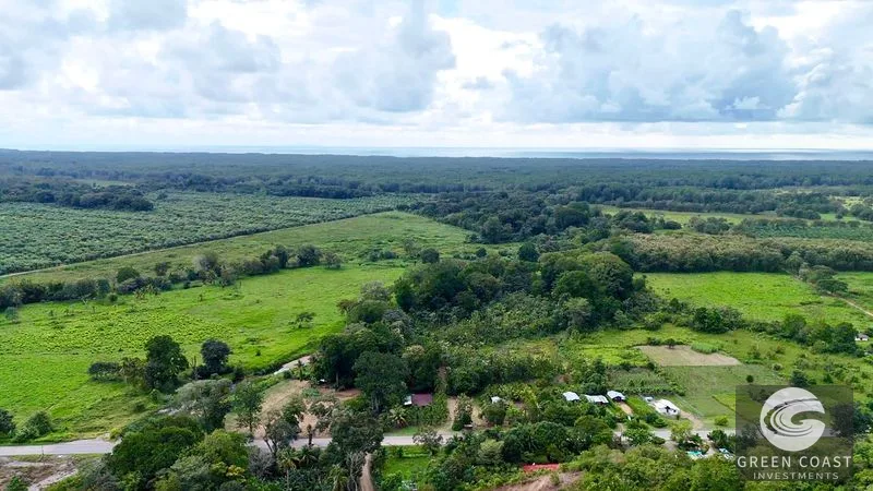 Build Your Dream Home Near Uvita: Fertile Lot in San Buenas de Coronado — view 3, Ojochal, Costa Rica
