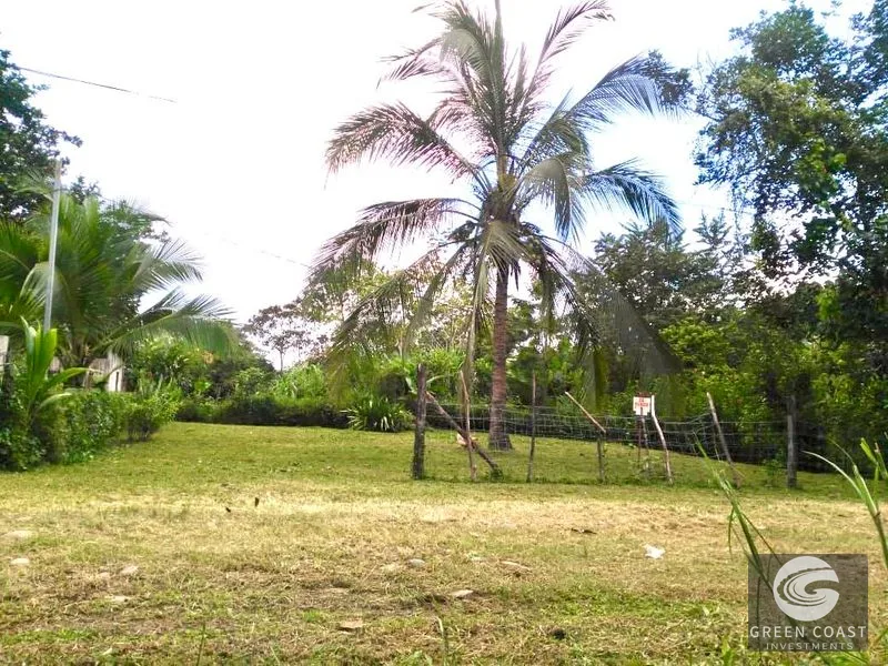 Prime Ready-to-Build Lot in San Buenas de Coronado - Flat, Fenced & Fruit Trees! — view 2, San Buenas de Coronado, San Buenas de Coronado, Costa Rica