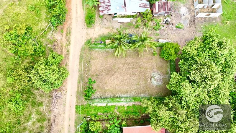 Prime Ready-to-Build Lot in San Buenas de Coronado - Flat, Fenced & Fruit Trees! — view 3, San Buenas de Coronado, San Buenas de Coronado, Costa Rica