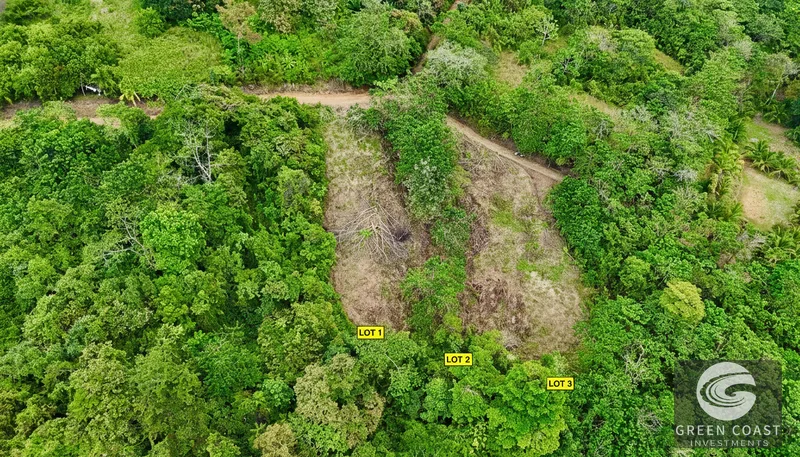San Buenas Ocean View Lot: Build Your Costa Rican Dream Home or Investment Retreat — view 2, Ojochal, Costa Rica