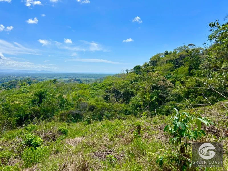 San Buenas Ocean View Lot: Build Your Costa Rican Dream Home or Investment Retreat — view 5, Ojochal, Costa Rica