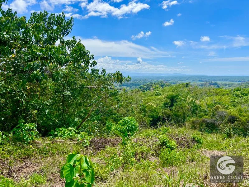 San Buenas Ocean View Lot: Build Your Costa Rican Dream Home or Investment Retreat — view 6, Ojochal, Costa Rica