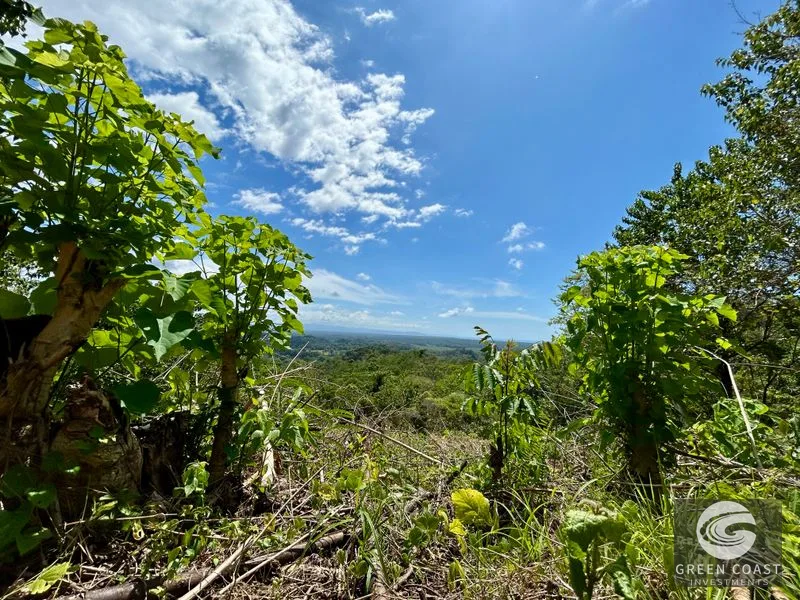 San Buenas Ocean View Lot: Build Your Costa Rican Dream Home or Investment Retreat — view 7, Ojochal, Costa Rica