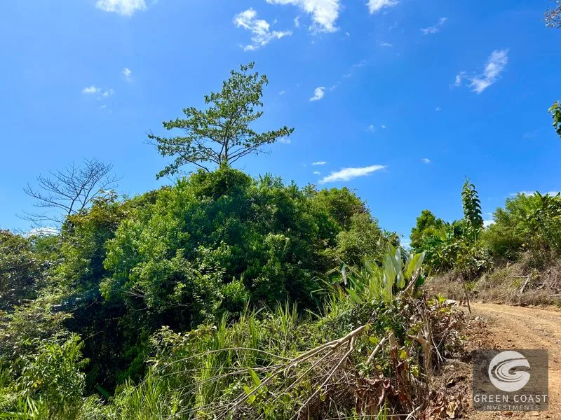 San Buenas Ocean View Lot: Build Your Costa Rican Dream Home or Investment Retreat — view 10, Ojochal, Costa Rica