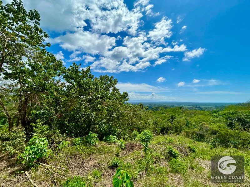 San Buenas Ocean View Lot: Build Your Costa Rican Dream Home or Investment Retreat — view 11, Ojochal, Costa Rica