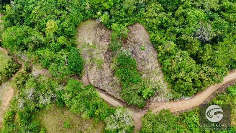 San Buenas Ocean View Lot: Build Your Costa Rican Dream Home or Investment Retreat — view 18, Ojochal, Costa Rica