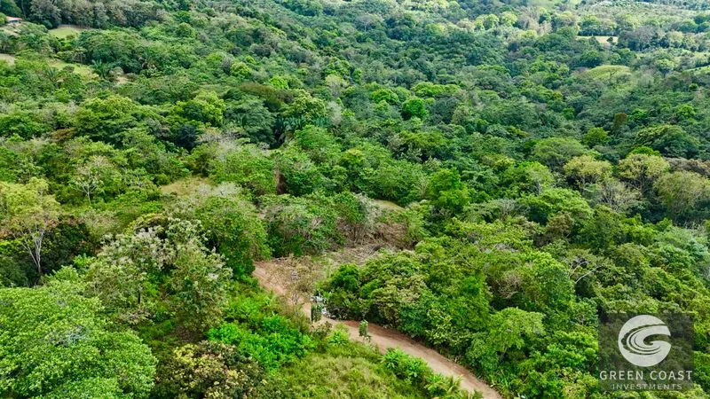 San Buenas Ocean View Lot: Build Your Costa Rican Dream Home or Investment Retreat — view 20, Ojochal, Costa Rica