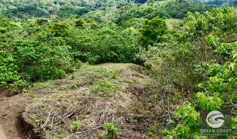 San Buenas Ocean View Lot: Build Your Costa Rican Dream Home or Investment Retreat — view 24, Ojochal, Costa Rica
