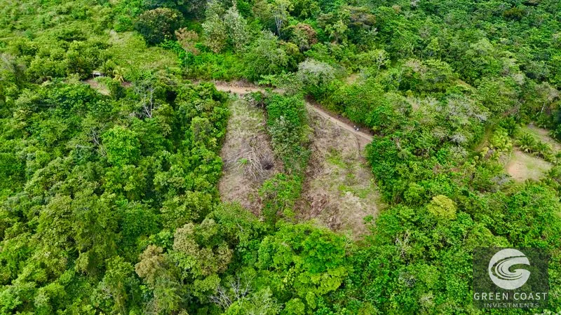 San Buenas Ocean View Lot: Build Your Costa Rican Dream Home or Investment Retreat — view 25, Ojochal, Costa Rica