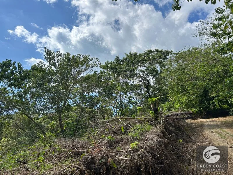 San Buenas Ocean View Lot: Build Your Costa Rican Dream Home or Investment Retreat — view 32, Ojochal, Costa Rica