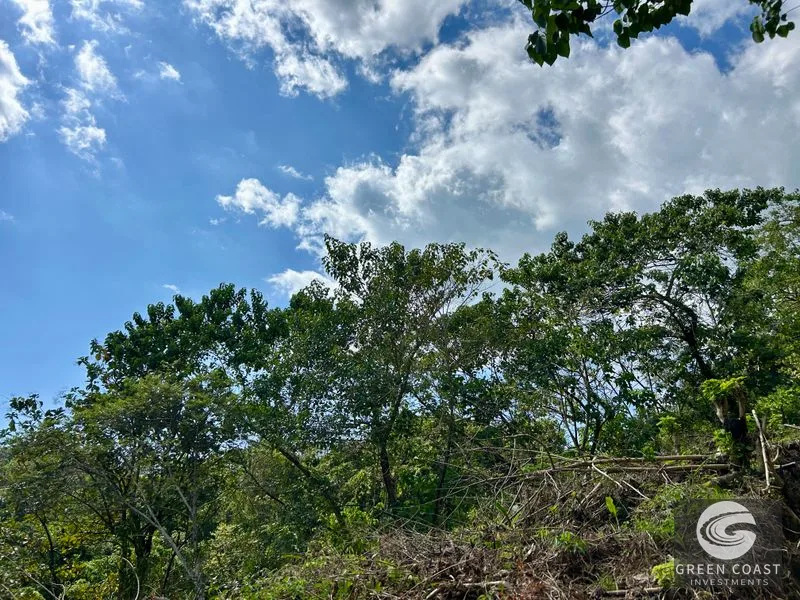 San Buenas Ocean View Lot: Build Your Costa Rican Dream Home or Investment Retreat — view 33, Ojochal, Costa Rica