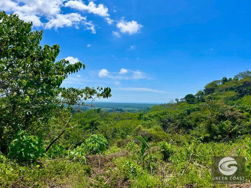 San Buenas Ocean View Lot: Build Your Costa Rican Dream Home or Investment Retreat — view 34, Ojochal, Costa Rica