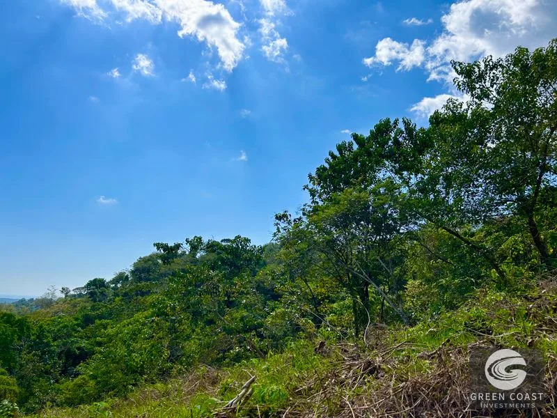 San Buenas Ocean View Lot: Build Your Costa Rican Dream Home or Investment Retreat — view 35, Ojochal, Costa Rica