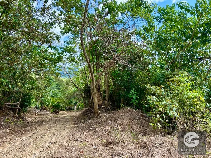 San Buenas Ocean View Lot: Build Your Costa Rican Dream Home or Investment Retreat — view 36, Ojochal, Costa Rica