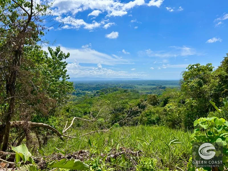 San Buenas Ocean View Lot: Build Your Costa Rican Dream Home or Investment Retreat — view 37, Ojochal, Costa Rica
