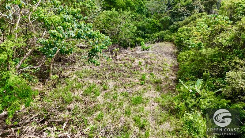 San Buenas Ocean View Lot: Build Your Costa Rican Dream Home or Investment Retreat — view 38, Ojochal, Costa Rica