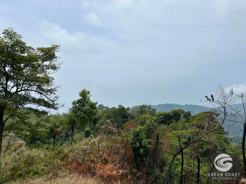 74-Acre Hatillo Highlands Estate: Private Nature Sanctuary with Ocean Views & Development Potential — view 7, Dominical, Costa Rica