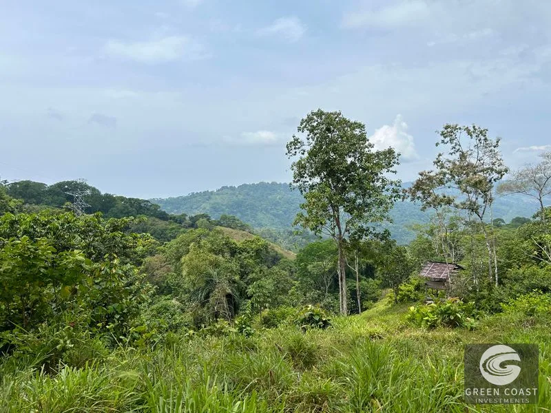 74-Acre Hatillo Highlands Estate: Private Nature Sanctuary with Ocean Views & Development Potential — view 8, Dominical, Costa Rica
