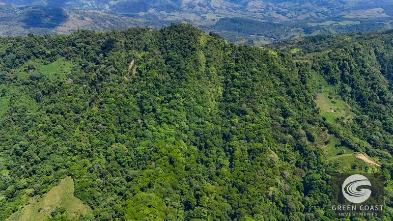 74-Acre Hatillo Highlands Estate: Private Nature Sanctuary with Ocean Views & Development Potential — view 11, Dominical, Costa Rica