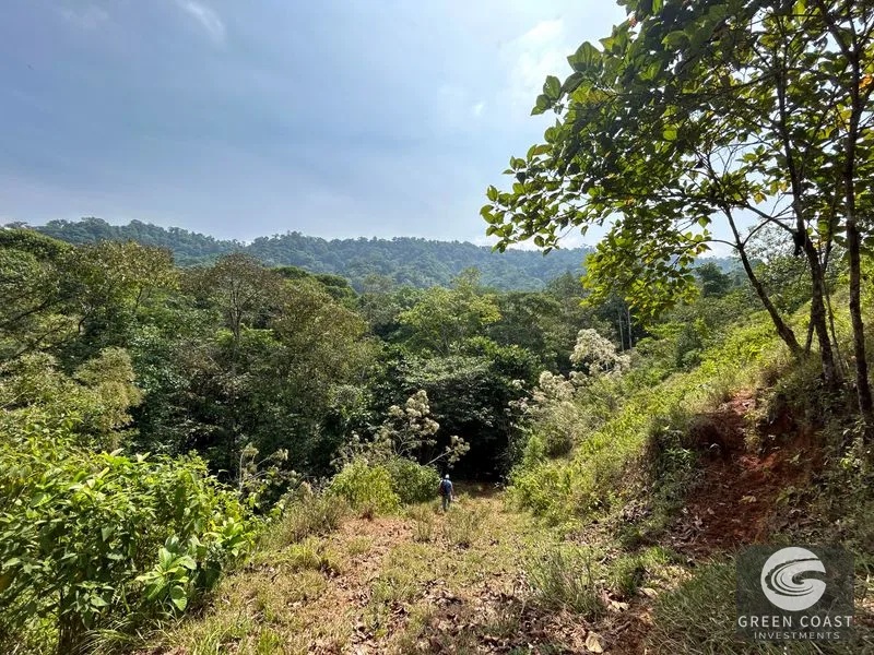 74-Acre Hatillo Highlands Estate: Private Nature Sanctuary with Ocean Views & Development Potential — view 14, Dominical, Costa Rica
