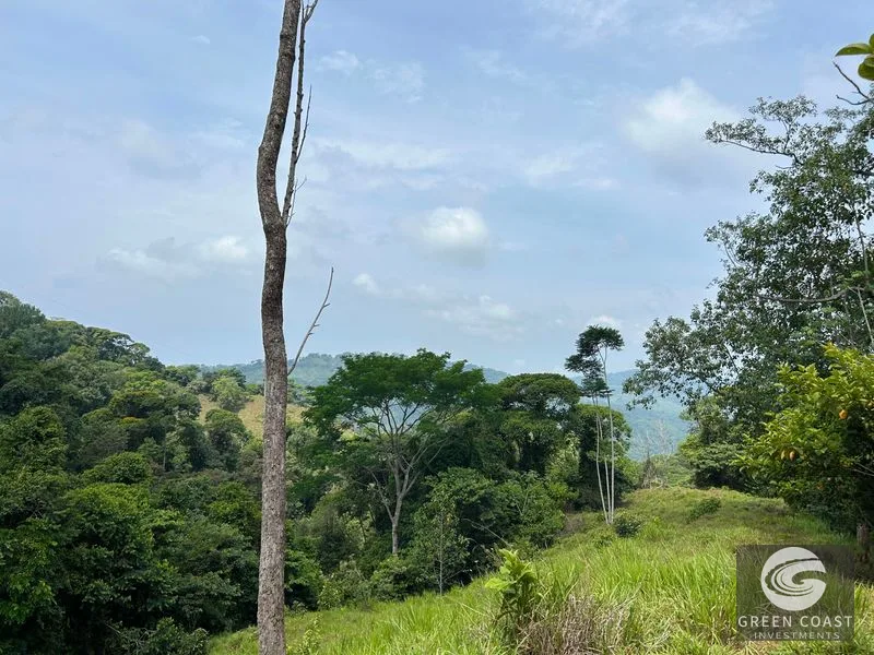 74-Acre Hatillo Highlands Estate: Private Nature Sanctuary with Ocean Views & Development Potential — view 15, Dominical, Costa Rica