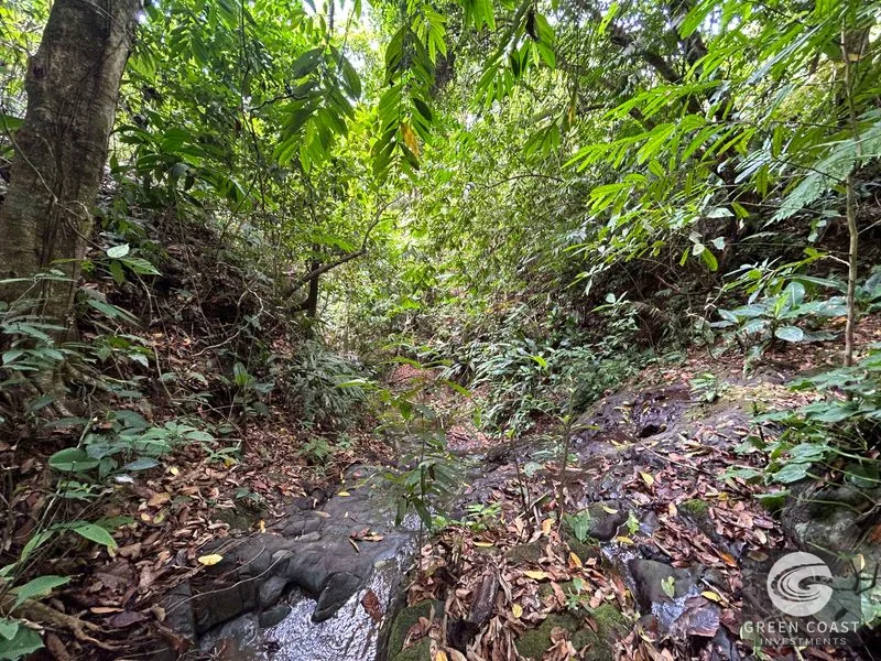 74-Acre Hatillo Highlands Estate: Private Nature Sanctuary with Ocean Views & Development Potential — view 16, Dominical, Costa Rica