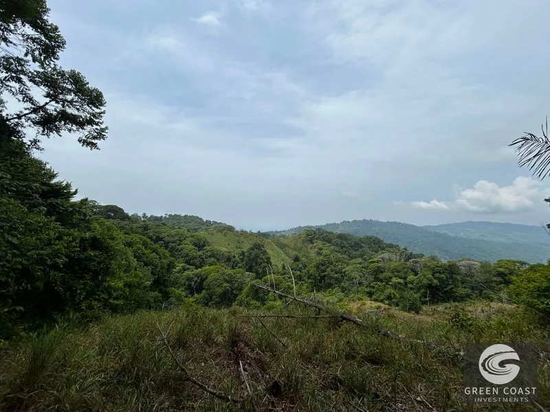 74-Acre Hatillo Highlands Estate: Private Nature Sanctuary with Ocean Views & Development Potential — view 17, Dominical, Costa Rica